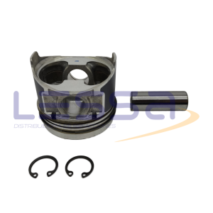 119671 - PISTON CON ANILLOS EN STD 376 11-9671 THERMOKING