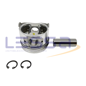 119933 - PISTON CON ANILLOS STD 3.95 11-9933 THERMOKING