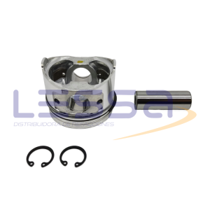 119937 - PISTON CON ANILLOS EN 0.25MM 11-9937 THERMOKING
