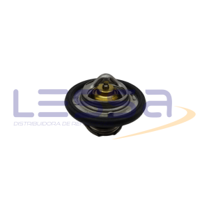 13954 - TERMOSTATO, 13-954 THERMOKING